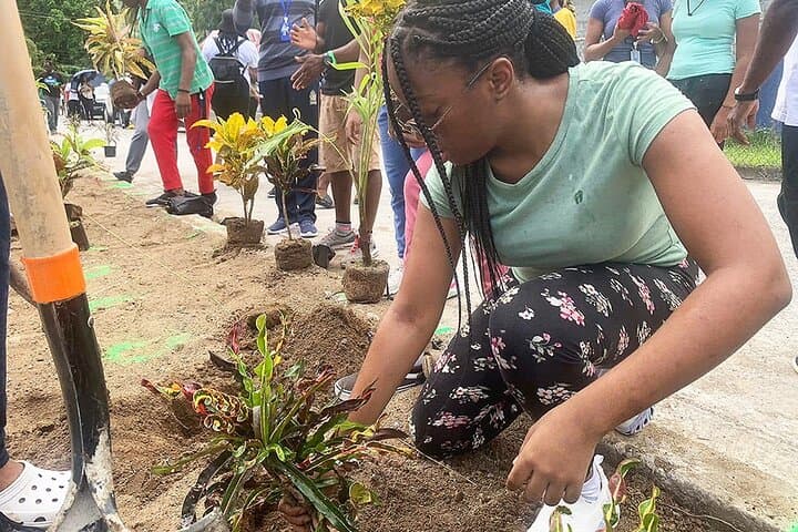 Volunteer in St Lucia Schools: 2-Hour Community Teaching & Donation Program photo 2