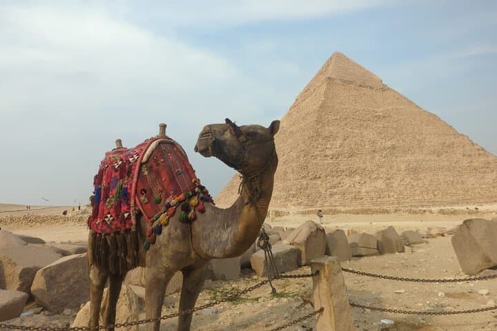 Sunrise & Sunset Camel Ride Around the Giza Pyramids — Private Tour photo 3