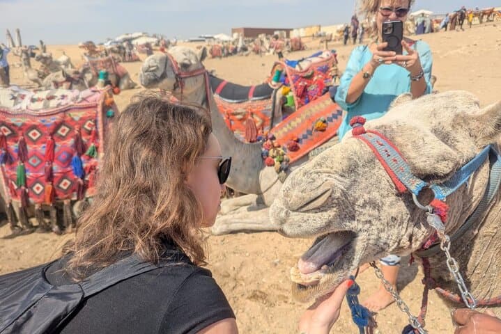 Sunrise & Sunset Camel Ride Around the Giza Pyramids — Private Tour photo 5