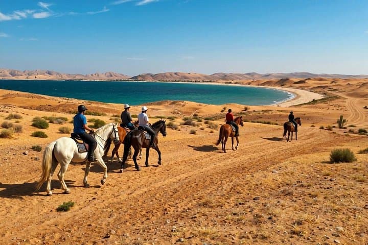 Coastal Horseback Ride in Nabq Bay: 2-Hour Beach & Desert Ride, Sharm El-Sheikh photo 2