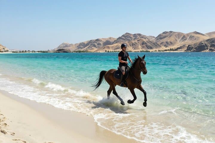 Coastal Horseback Ride in Nabq Bay: 2-Hour Beach & Desert Ride, Sharm El-Sheikh photo 1