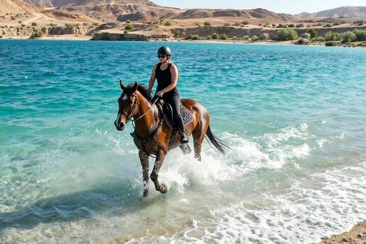 Coastal Horseback Ride in Nabq Bay: 2-Hour Beach & Desert Ride, Sharm El-Sheikh photo 3