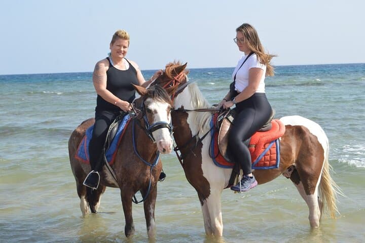 Hurghada Horseback Ride and Turkish Hammam Spa Experience photo 3
