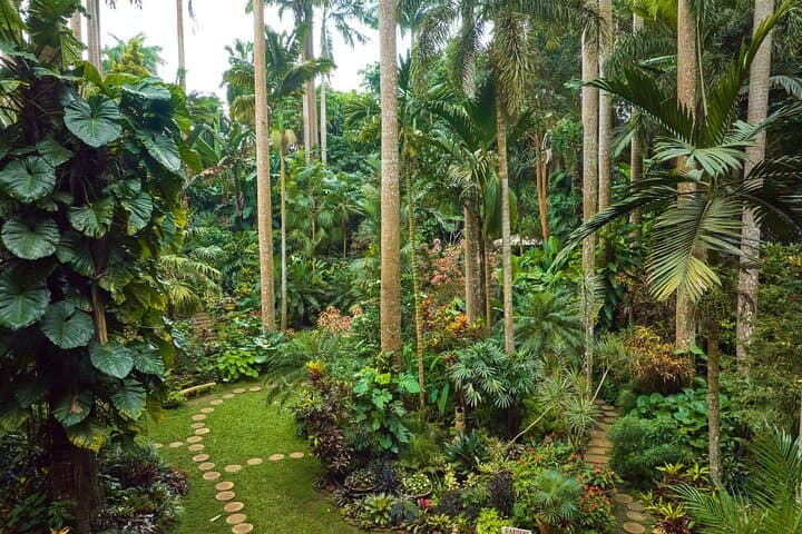 Barbados Hidden Gems: Hunte's Gardens and Hamilton's Pottery Tour photo 4