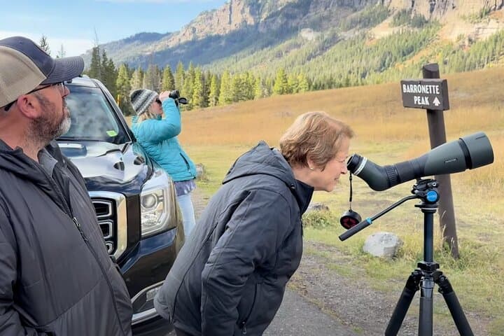Yellowstone Private Wildlife Safari from West Yellowstone — Hayden Valley & Lake Wildlife Tour photo 5