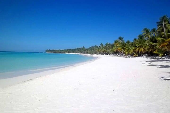 Full-Day Saona Island Cruise: Catamaran, Natural Pool & Beach Time photo 2