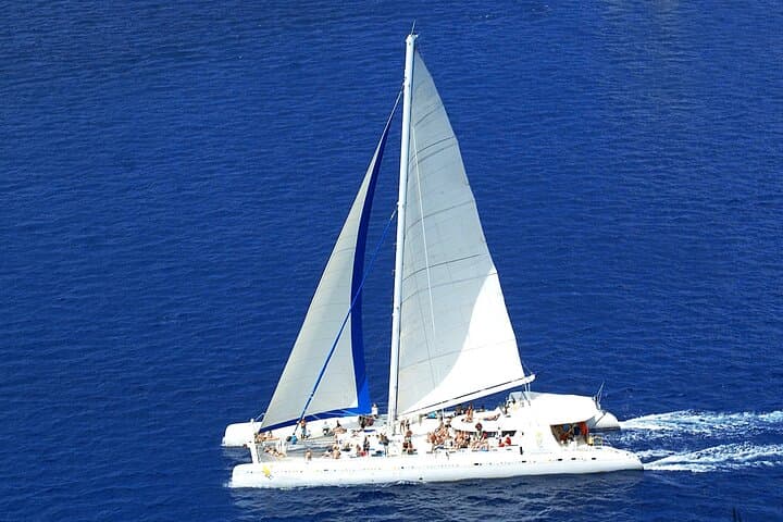Full-Day Saona Island Cruise: Catamaran, Natural Pool & Beach Time photo 5