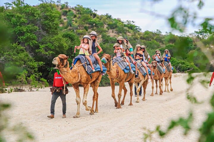 Wild Canyon Dual Experience: Zipline, ATV & Camel Combo in Los Cabos photo 5