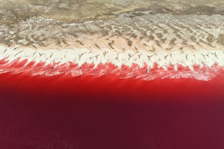 Pink Lake & Giant Salt Crystals at the Great Salt Lake: Spiral Jetty & Rozel Point Tour