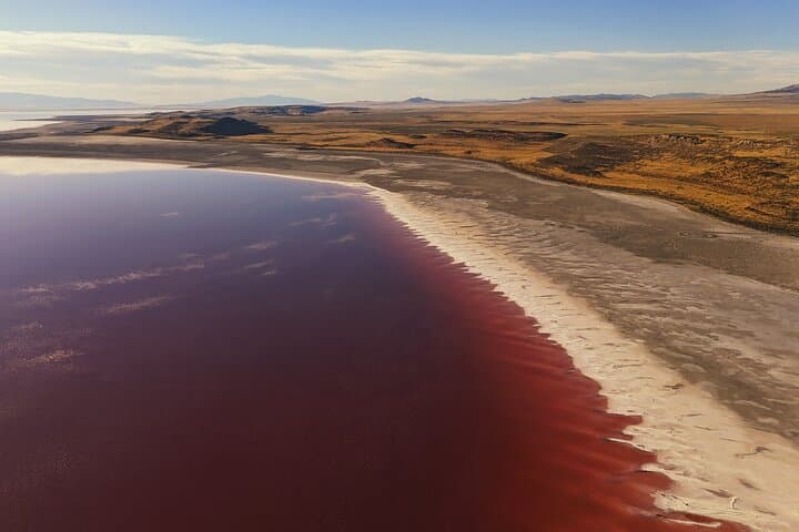 Pink Lake & Giant Salt Crystals at the Great Salt Lake: Spiral Jetty & Rozel Point Tour photo 5