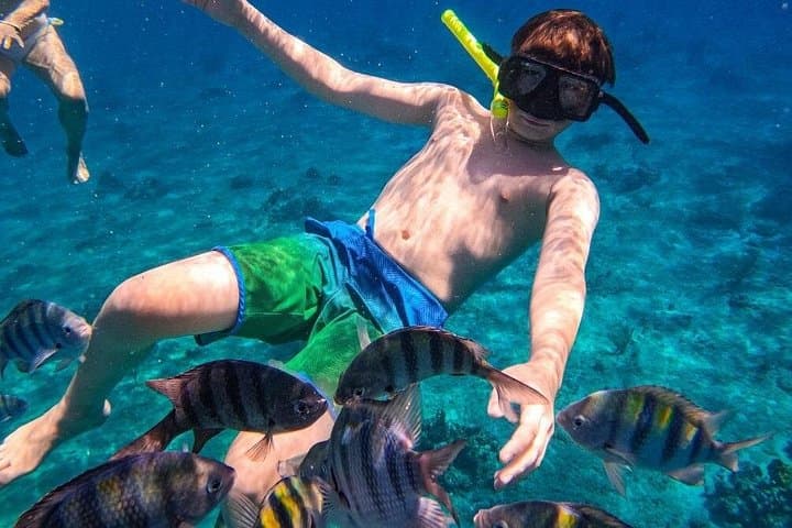 Transparent Boat in Cozumel: Snorkel Punta Norte & Colorful Reef Views photo 5