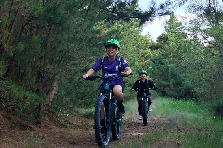 Fat Biking the Tottori Sand Dunes: Ride, Sand Museum & Seafood Lunch