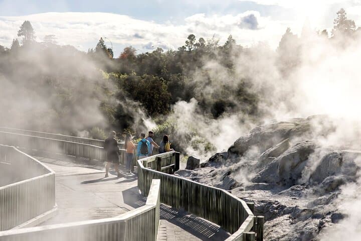 Rotorua Full-Day: Glowworm Cave, Redwoods & Te Puia Cultural Tour photo 3