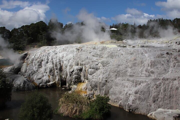 Rotorua Full-Day: Glowworm Cave, Redwoods & Te Puia Cultural Tour photo 4