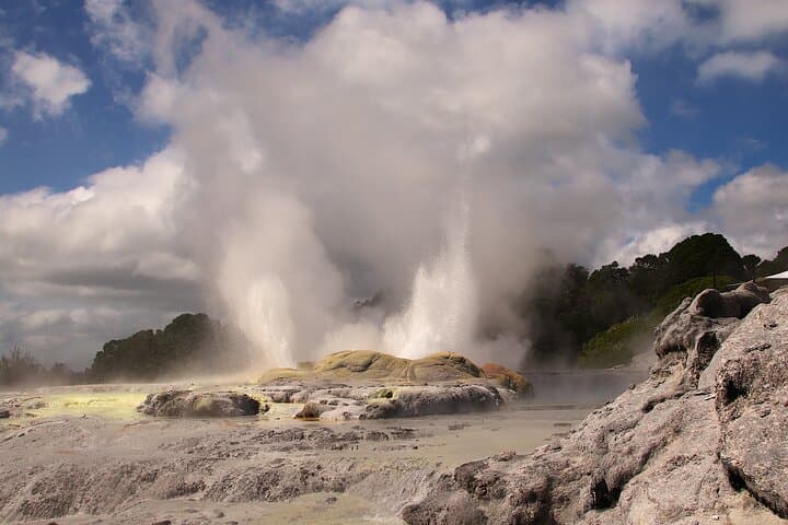 Rotorua Full-Day: Glowworm Cave, Redwoods & Te Puia Cultural Tour