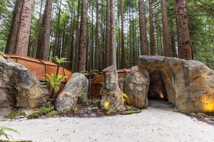 Rotorua Full-Day: Glowworm Cave, Redwoods & Te Puia Cultural Tour photo 5