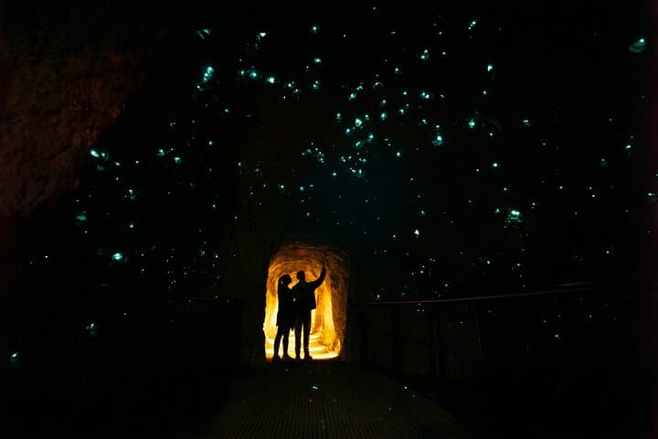 Rotorua Full-Day: Glowworm Cave, Redwoods & Te Puia Cultural Tour photo 2