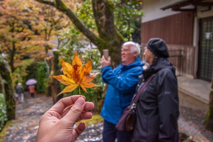 Kyoto Mystery Route: Off-the-Beaten-Path Hidden Temples & Ohara Valley photo 5