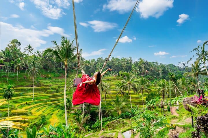 Ubud Private Tour: ATV Adventures, Monkey Forest, Rice Terrace Swings & Waterfalls photo 5