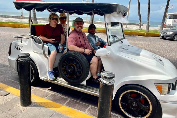 Mazatlán Pulmonía Experience: Historic Malecón & Old Town Driving Tour