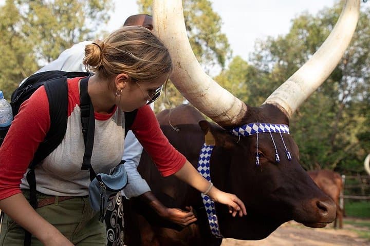 Where Waste Becomes Hope: 2-Day Rwanda Cultural Tour in Nyanza & Kigali
