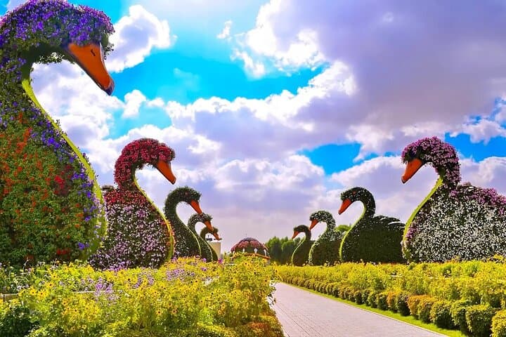 Dubai Miracle Garden & Global Village: Evening Tour with Transfers photo 4