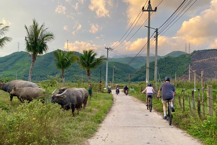 Pedal the Cu De: Private Da Nang Countryside Bike Tour (1 Day) photo 2
