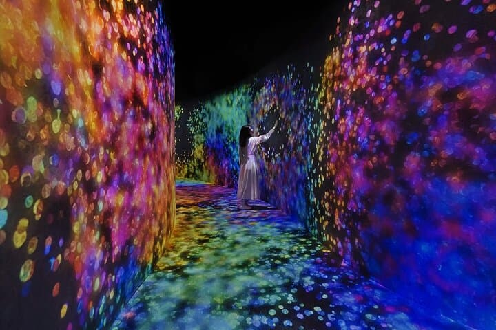 teamLab Phenomena Abu Dhabi: Interactive Digital Art on Saadiyat Island photo 4