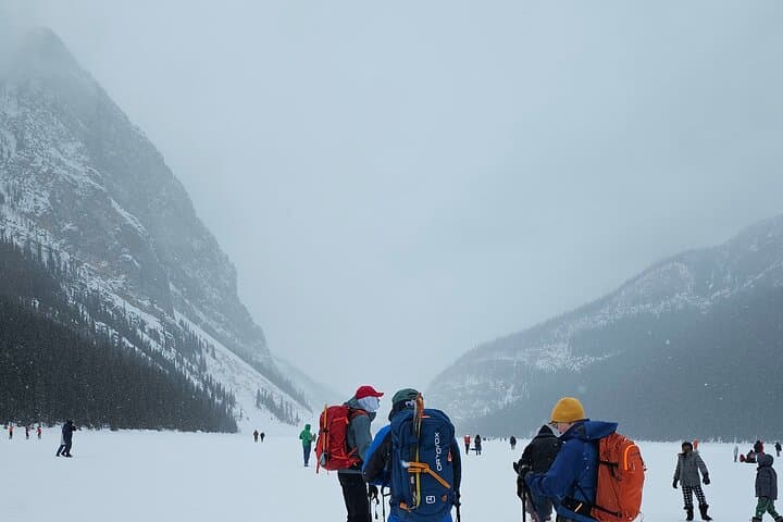 Canadian Rockies Day Trip: Lake Louise, Peyto & Emerald Lake from Calgary photo 3