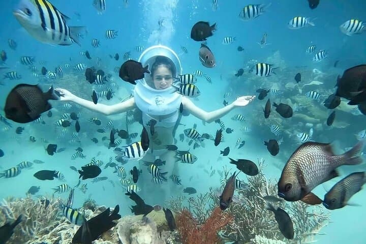 Nha Trang Underwater Adventure: Sea Walking, Coral Reefs & Seafood Lunch photo 3