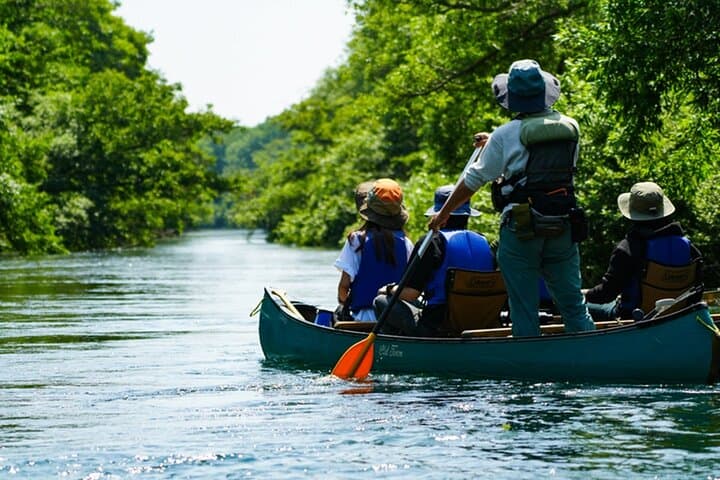 Canoe Birdwatching at the Kushiro River Source — Guided Ornithology Tour in Akan-Mashu photo 3