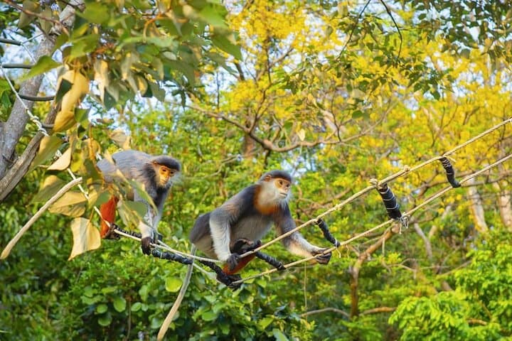 Da Nang Half-Day: Marble Mountains & Monkey Mountain (Son Tra) Tour photo 3