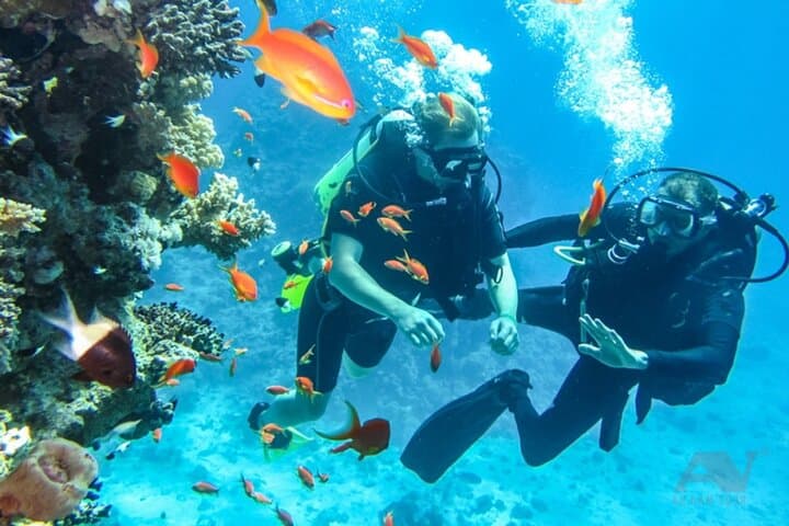 Nha Trang Scuba Diving: Explore Coral Reefs & Marine Life