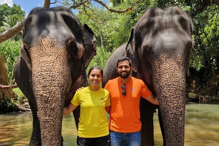 4-Day Sri Lanka Highlights Tour: Bentota, Kandy & Colombo