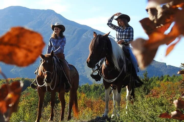 Monte Gaggio Panoramic Horseback Ride: 2-Hour Equestrian Trail in Trentino