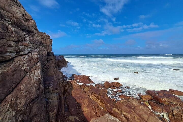 Cape Peninsula Full-Day Tour: Cape Point, Chapman's Peak & Boulders Beach photo 6