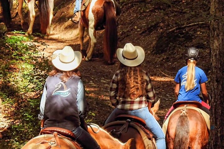 Monte Gaggio Panoramic Horseback Ride: 2-Hour Equestrian Trail in Trentino photo 6