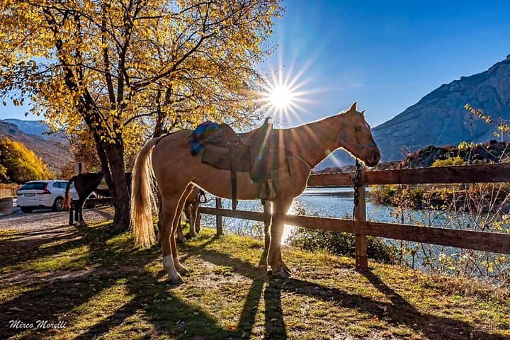 Monte Gaggio Panoramic Horseback Ride: 2-Hour Equestrian Trail in Trentino photo 4