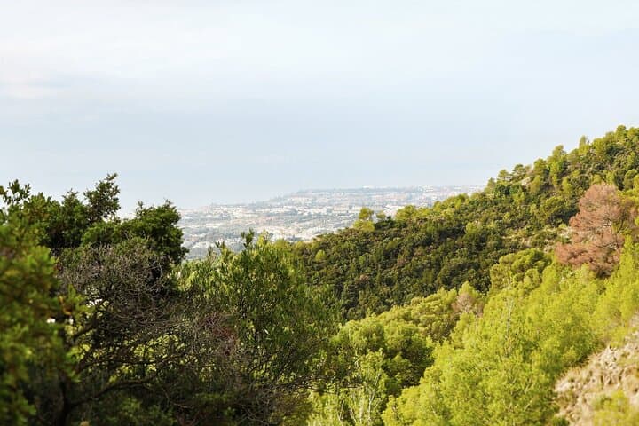 Monks Trail Sierra Blanca Guided Hike — Marbella Mountain Walking Tour photo 4
