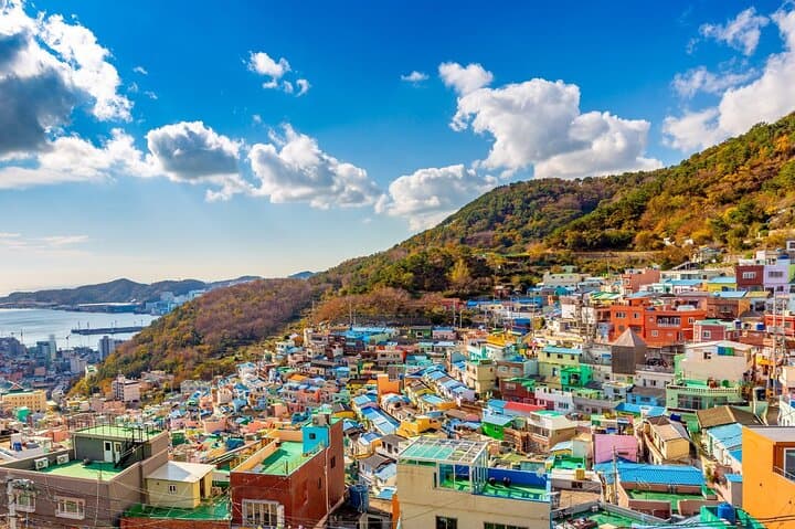 Discover Busan on Foot: Private Custom Walking Tours of Markets, Hills, and Harbor Views photo 4