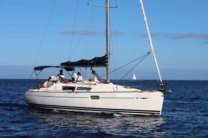 Private Madeira Boat Trip from Funchal: Coastal Sailing, Dolphins & Natural Pools photo 1