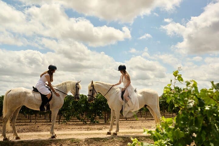 Ride and Rosé: Private Horseback through Penedès with Wine Tasting and Tapas photo 3