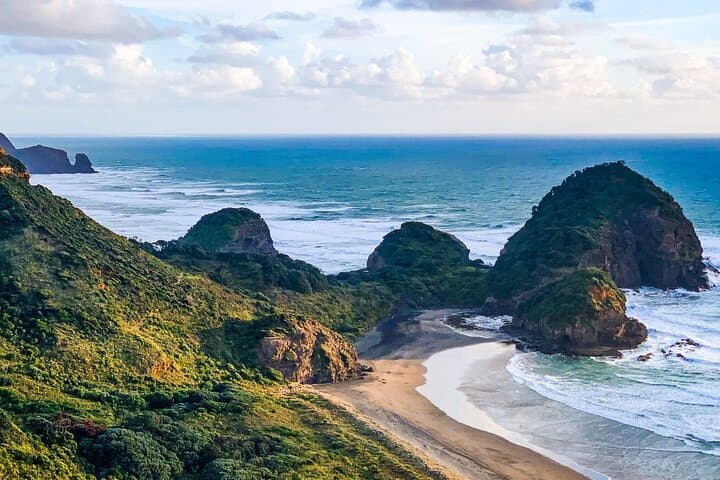 Sheep World & West Auckland Discovery: Piha, Waitakere Ranges and Farm Life