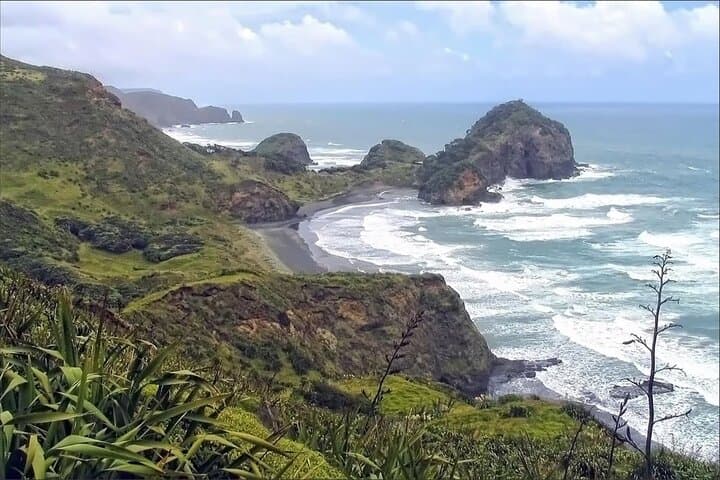 Sheep World & West Auckland Discovery: Piha, Waitakere Ranges and Farm Life photo 2