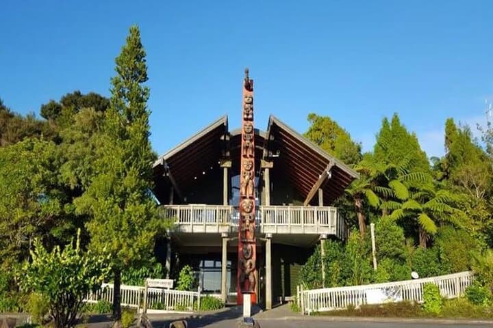 Sheep World & West Auckland Discovery: Piha, Waitakere Ranges and Farm Life photo 6