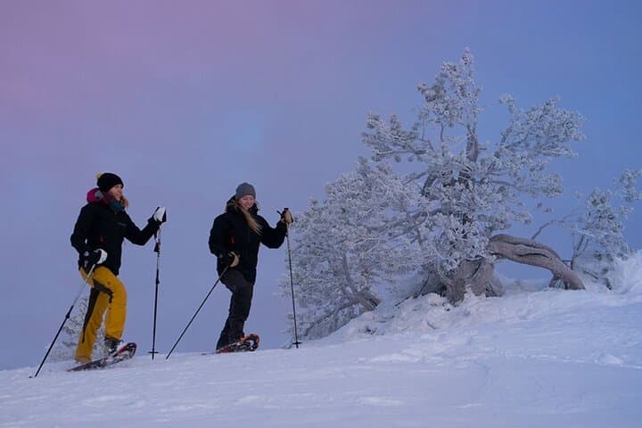 Snowshoeing Around Levi: Guided Arctic Wilderness Tour photo 3