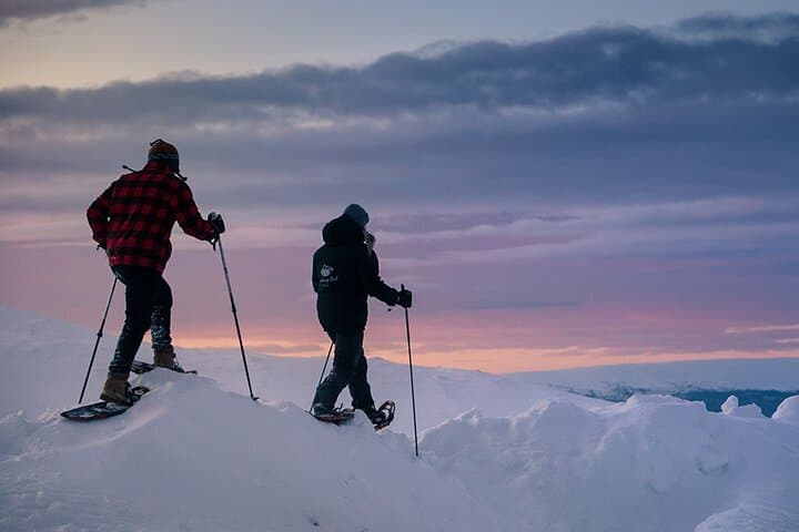 Snowshoeing Around Levi: Guided Arctic Wilderness Tour