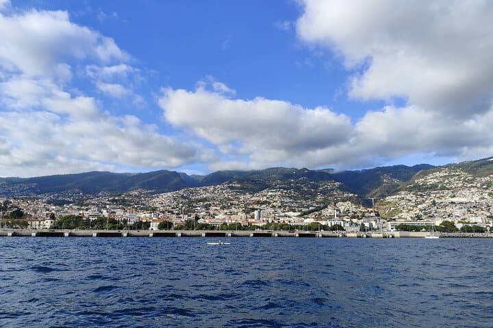Private Madeira Boat Trip from Funchal: Coastal Sailing, Dolphins & Natural Pools photo 2