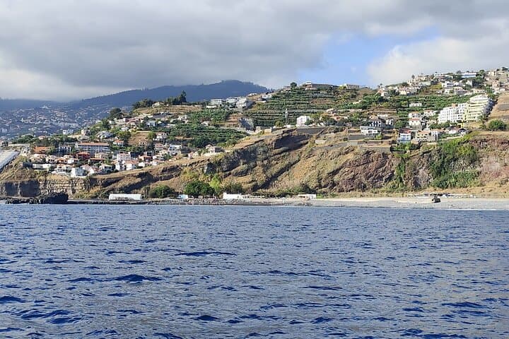 Private Madeira Boat Trip from Funchal: Coastal Sailing, Dolphins & Natural Pools photo 3