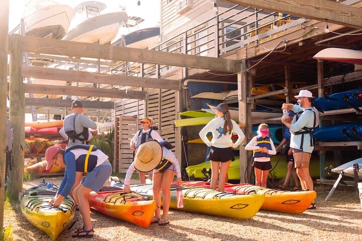 Paddle with Dolphins on Shem Creek: Charleston Kayak Eco Tour photo 6